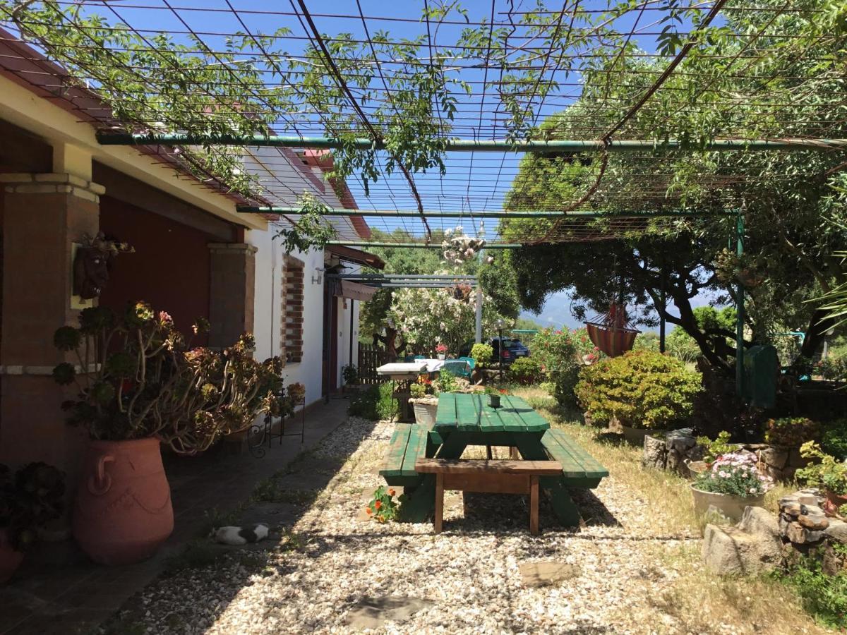 Su Saucu Villa Dorgali Kültér fotó