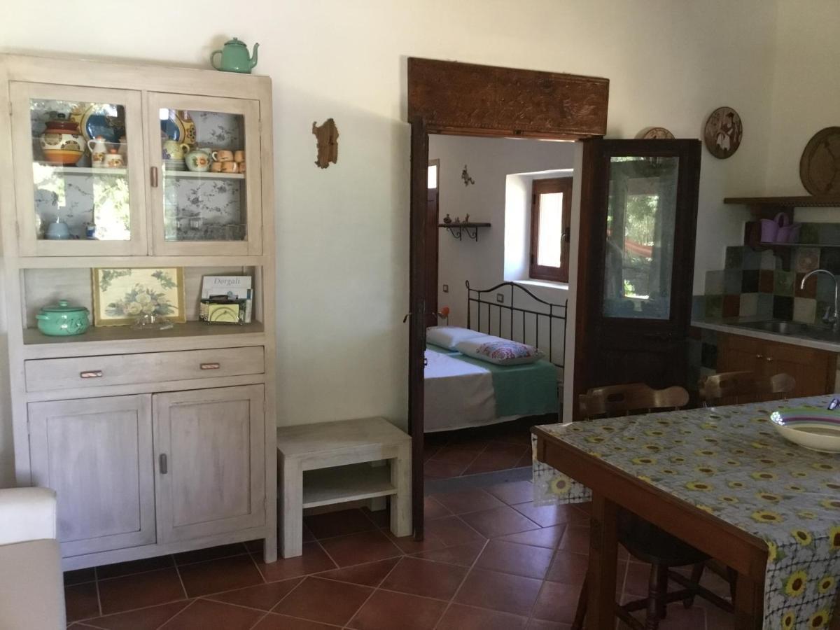 Su Saucu Villa Dorgali Kültér fotó