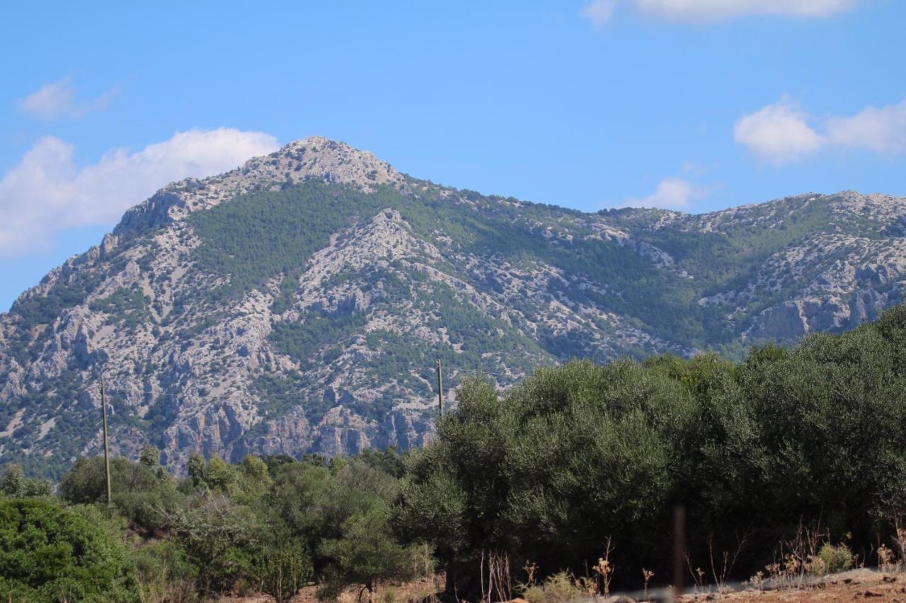 Su Saucu Villa Dorgali Kültér fotó