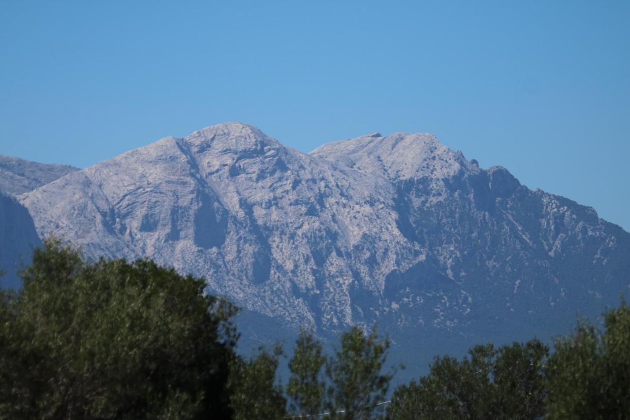 Su Saucu Villa Dorgali Kültér fotó